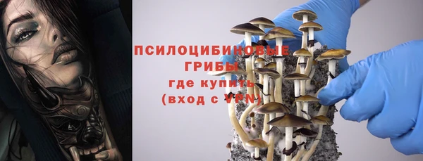 каннабис Богородицк