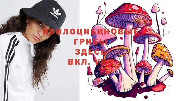 каннабис Богородицк