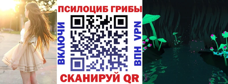 маркетплейс клад  Волжск  Галлюциногенные грибы прущие грибы 